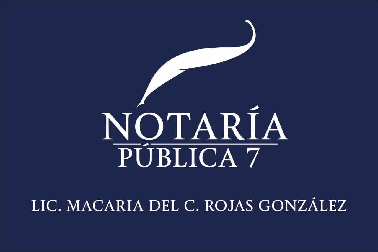 Notaría Pública Número 7 - Visual Hero